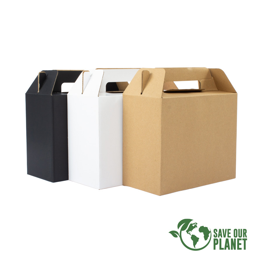 CAJA AUTOARMABLE CON ASAS 25X20X12 CM