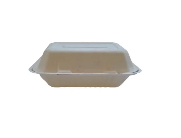 Rectangular 19,1x13,6x4,4 cms. Bagasse (10x50)