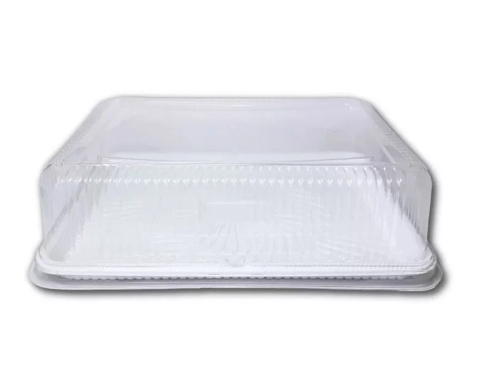 Torta rectangular base blanca (1x20)