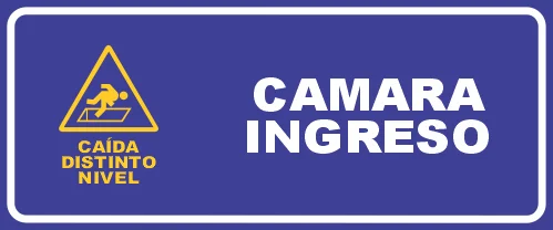 CÁMARA INGRESO