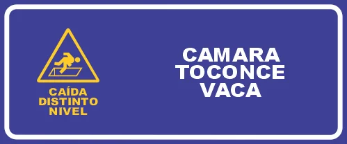 CÁMARA TOCONCE VACA