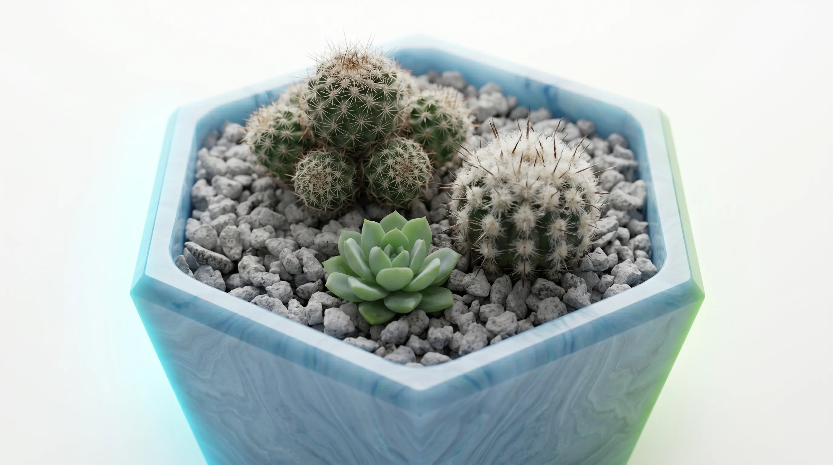 Macetero Hexagonal (Editorial Botánico)