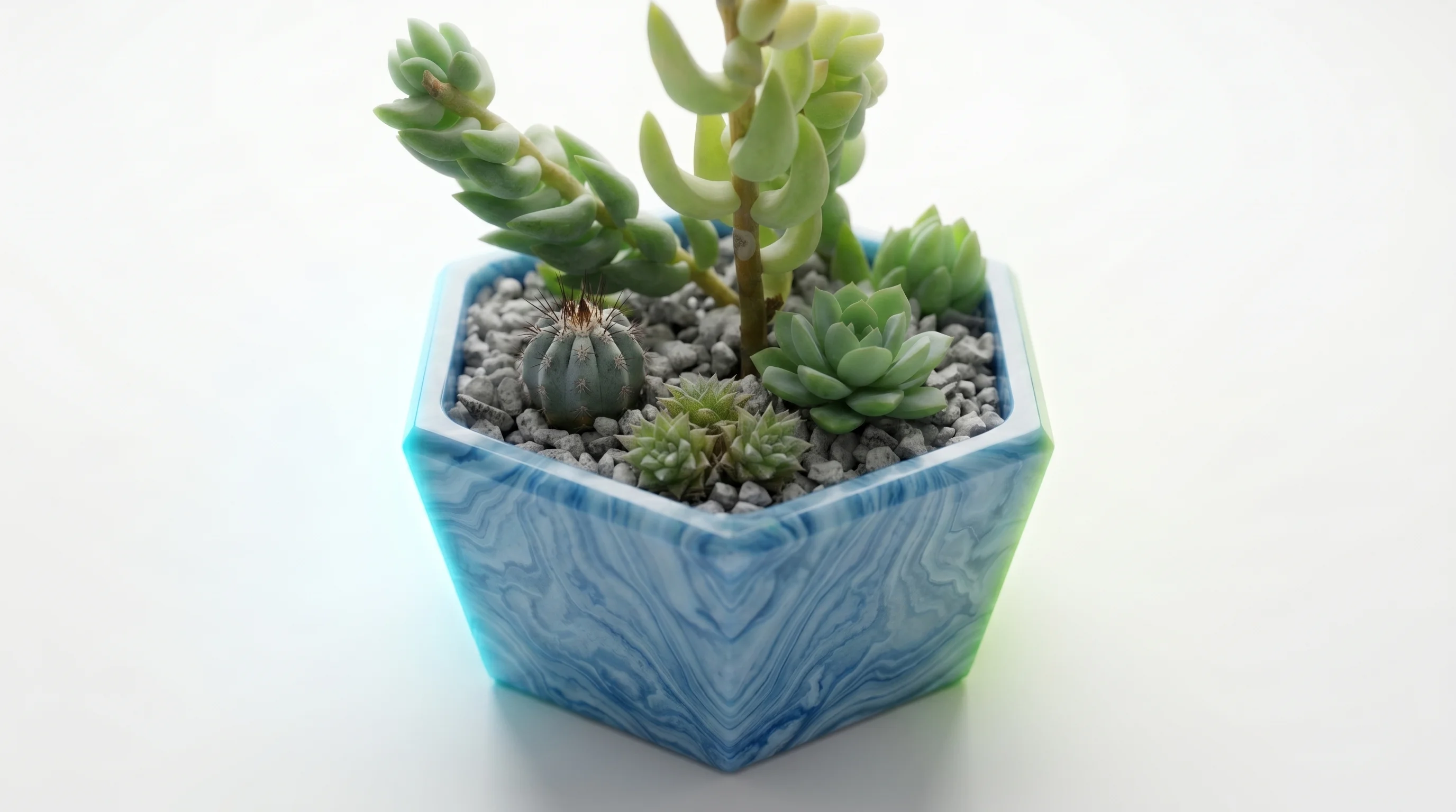 Macetero Hexagonal (Editorial Botánico)