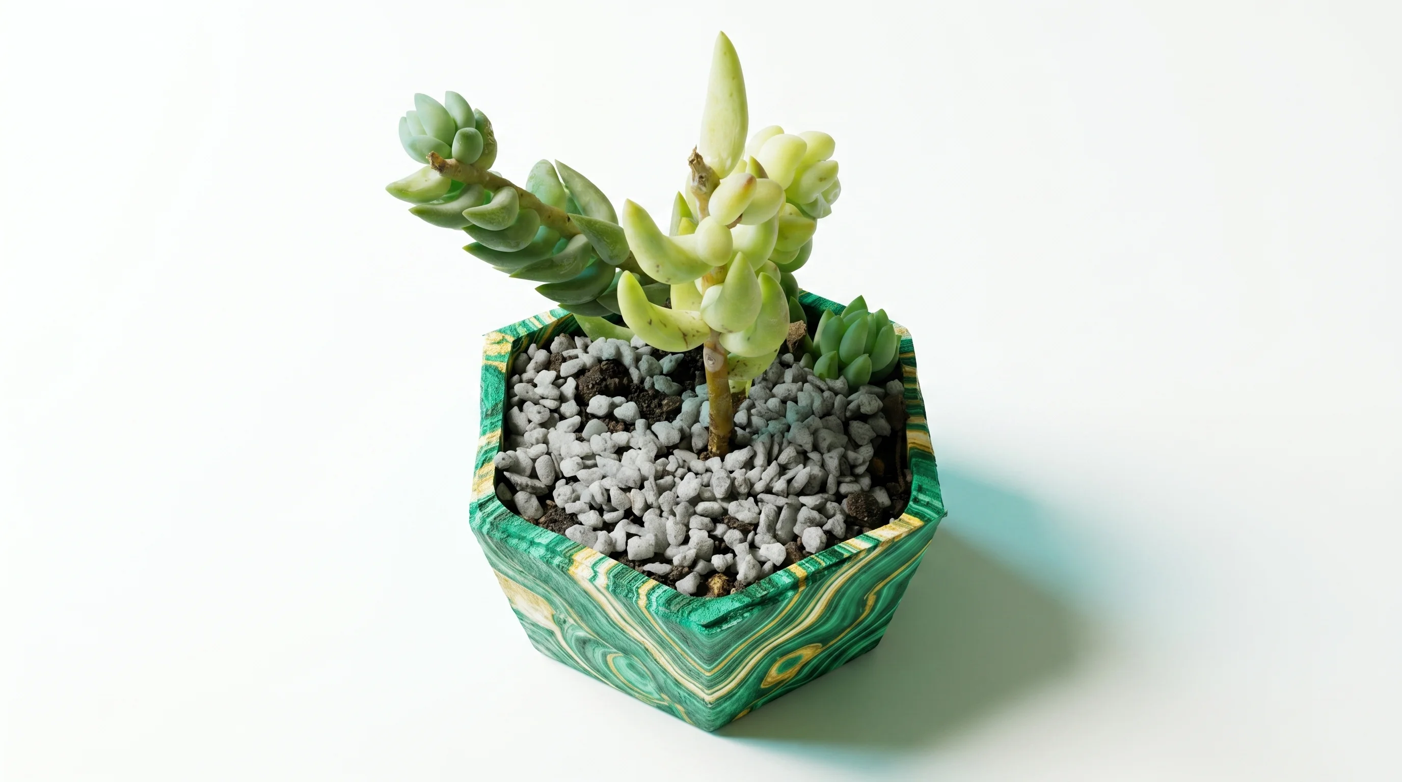 Macetero Hexagonal (Editorial Botánico)